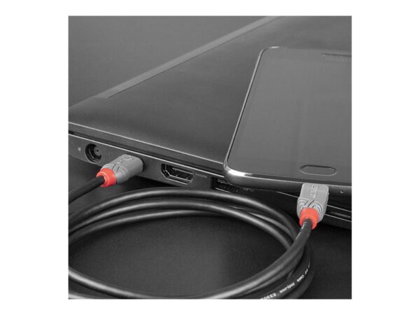 LINDY Câble USB 2.0 Type C vers Micro-B Anthra Line 2m