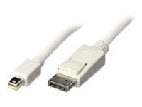 LINDY MiniDisplayPort to DisplayPort Cable 2m