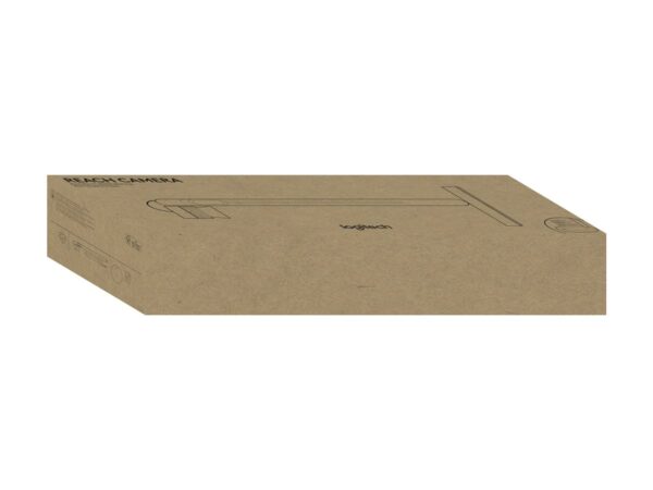 LOGITECH Reach Camera Graphite