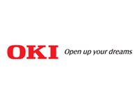 OKI 16 Go SDHC carte mémoire Secure Print/Overlay