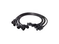 APC electricite cableKit 10A 100-230V C13toC14