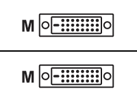 MCL Câble DVI-D mâle / DVI-D mâle dual link (24+1) – 5m    (P)