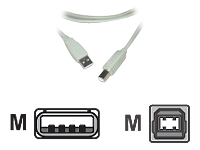 MCL Câble USB 2.0 type A / B mâle – 3m Translucide