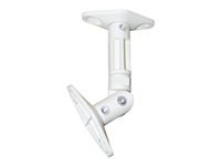 NEOMOUNTS SPEAKER-W100 Support pour haut-parleur – universel – orientable
