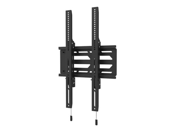 NEOMOUNTS WL30S-950BL19 Support mural fixe pour écran 55-110p – robuste – verrouillable – paysage et portrait