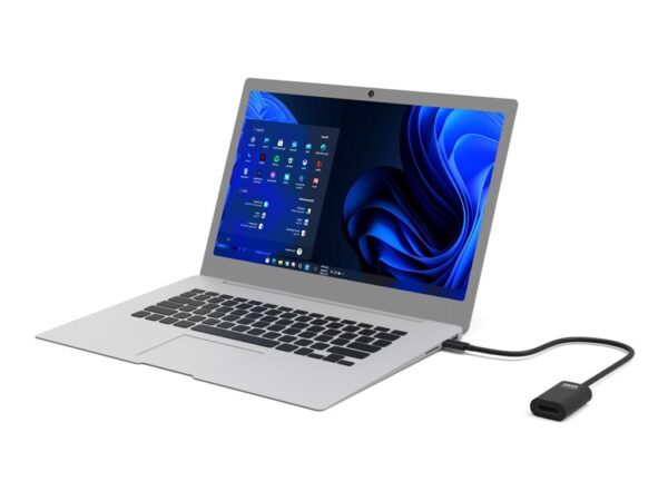 PORT DESIGNS CONVERTER TYPE C TO DP