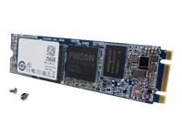 QNAP Flash memory 256Go mSATA TS-x80 Pro TS-x80U R2 TS-x80U-SAS-RP R2 TS-871U-RP TS-1271U-RP