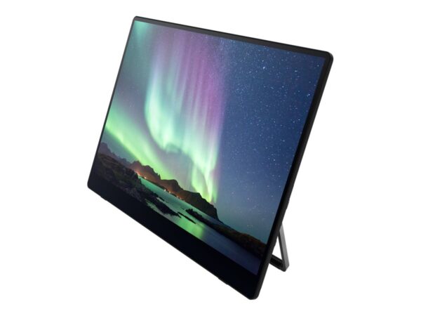 RICOH 15.6p 169 1920×1080 OLED 1ms 1000001 10-point Multi-Touch USB-C Powered Ultra-Lightweight Portable Monitor