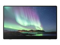RICOH 15.6p 169 1920×1080 OLED 1ms 1000001 10-point Multi-Touch USB-C Powered Ultra-Lightweight Portable Monitor