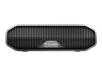 SANDISK Professional G-DRIVE 22To 3.5p USB-C 5Gbps USB 3.1 Enterprise-Class Desktop Hard Drive – Space Grey