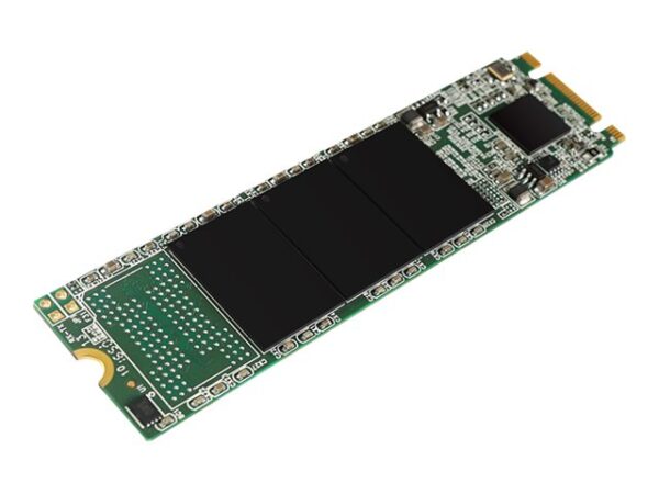 SILICON POWER SSD A55 256Go M.2 SATA 560/530 Mo/s