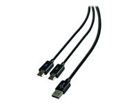 STEELPLAY Cable Dual Play & Charge Pour Manettes Noir PS4