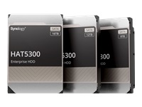 SYNOLOGY HAT5300 12To SATA HDD