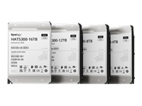 SYNOLOGY HAT5300 4To SATA HDD