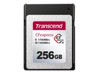 TRANSCEND 256Go CFExpress Card TLC