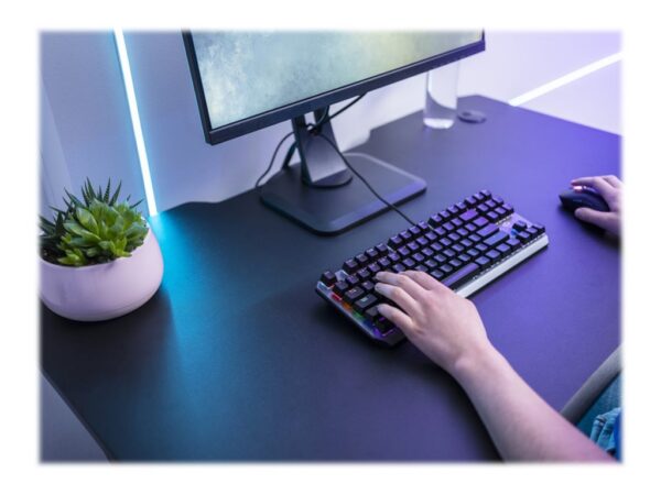 TRUST Gaming Callaz TKL Mechanical Keyboard Black AZERTY (FR)