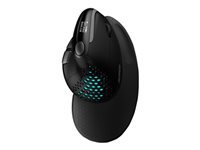 URBAN FACTORY ERGO PRO MAX Wireless Right Hand Mouse 2.4GHZ Bluetooth 5.0 Rechargeable 4000DPI Handrest