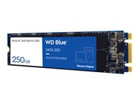 WD 3D NAND SSD 250GB M.2 2280 SATA III 6Gb/s Bulk